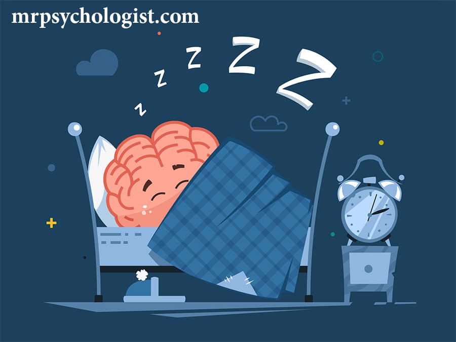 مغز ما در هنگام خواب چه کار می‌کند؟